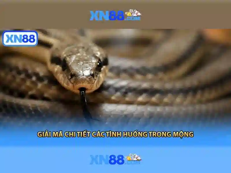 Tổng quan về xn88
