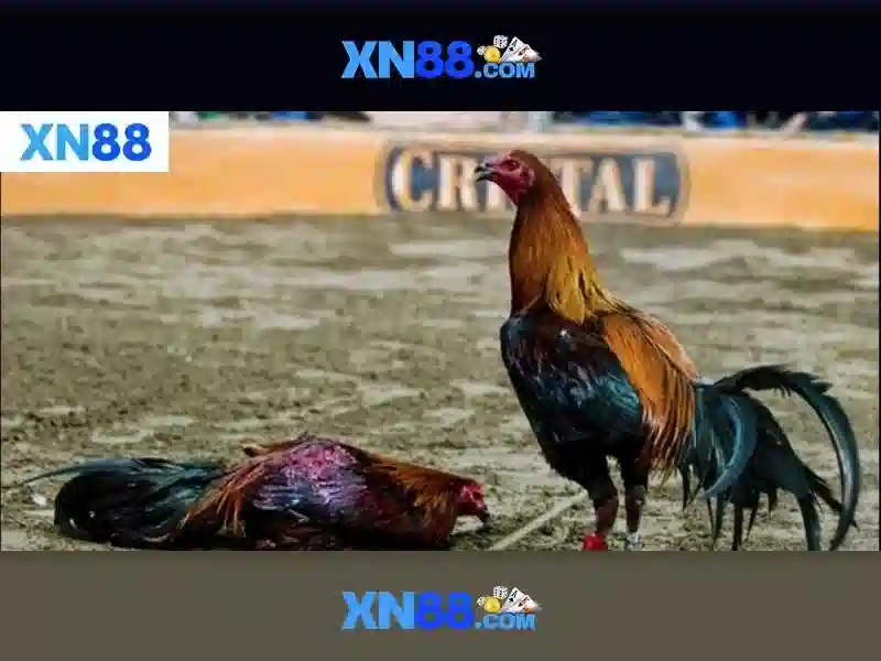 Giao dien trang chu XN88 voi nut nap tien noi bat