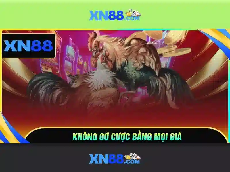 xn88: Đánh giá và hướng dẫn sử dụng