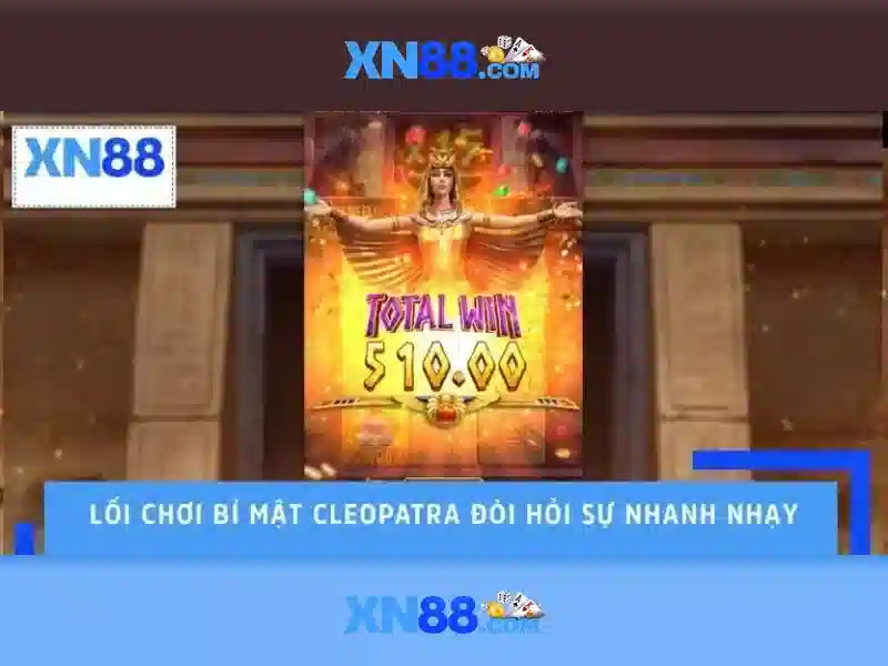 Biểu đồ hiệu suất kết quả xo so