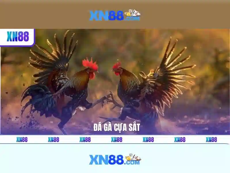 Xn88: Tổng quan về nền tảng trò chơi trực tuyến