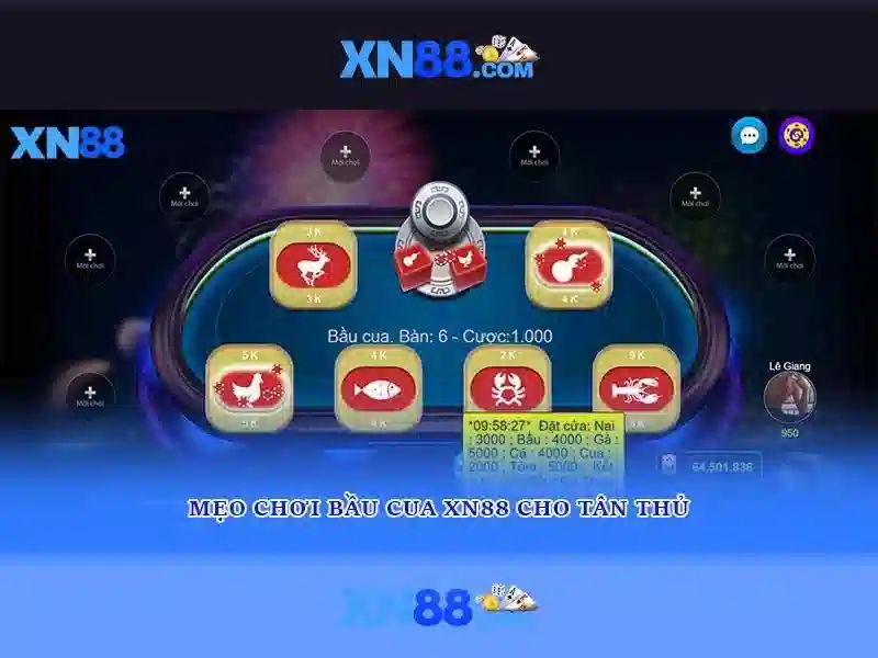 xn88 là gì và trải nghiệm nền tảng cá cược trực tuyến
