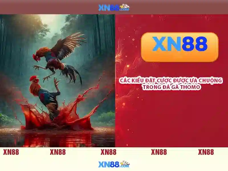 Xn88: Khám phá nền tảng trò chơi trực tuyến