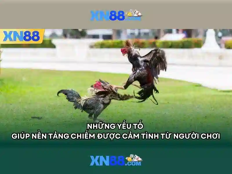Lịch sử hình thành xn88 và mục tiêu