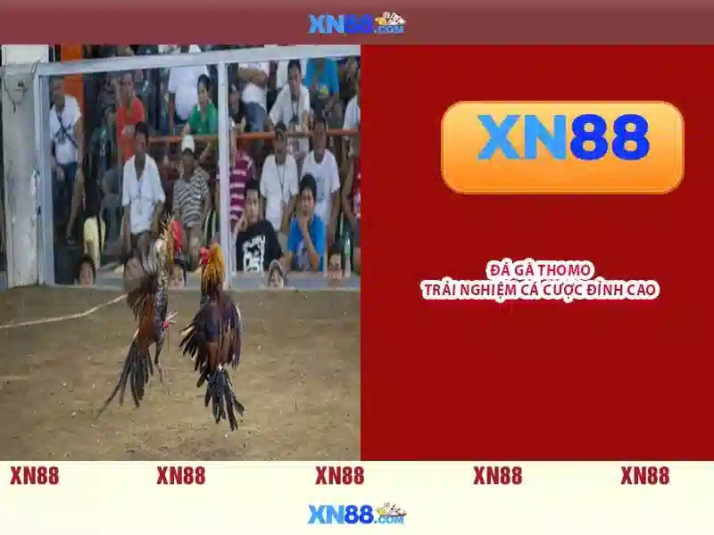 Giới thiệu xn88