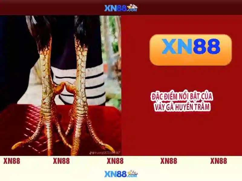 xn88: Nền tảng giải trí trực tuyến và đánh giá