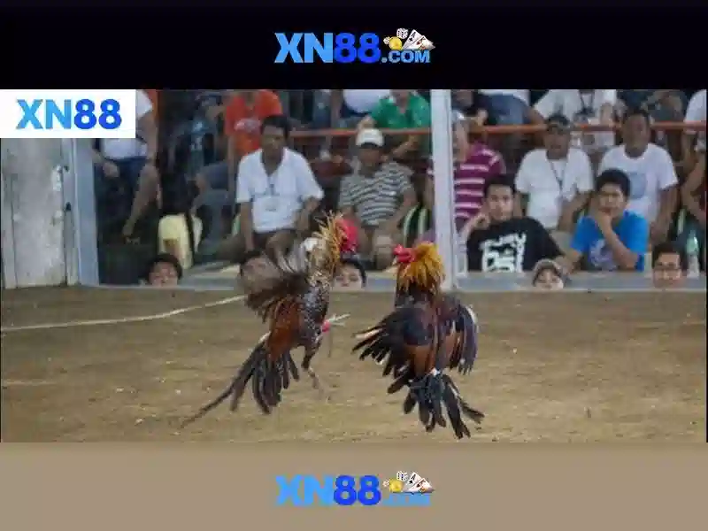 An toan tai khoan va bao mat du lieu tren xn88