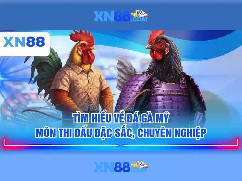 xn88: Tổng quan, đánh giá và mẹo an toàn cho người chơi