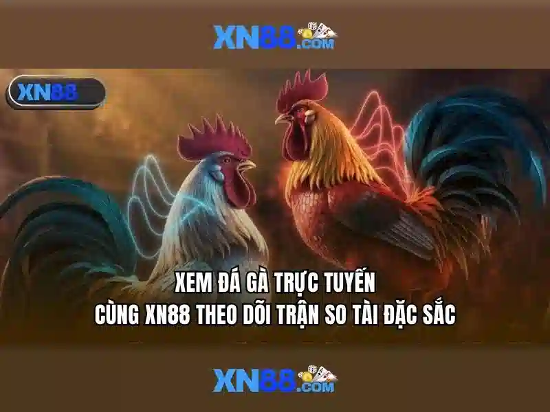 Các điều khoản và quy định