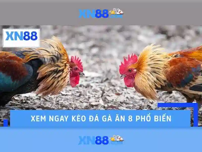 An toàn và quản trị người chơi