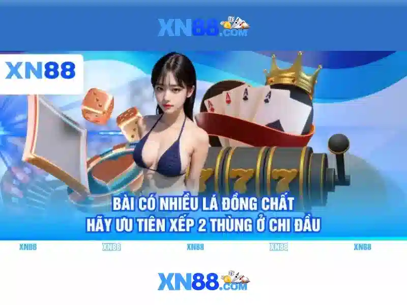 Phân tích dữ liệu cược và xu hướng