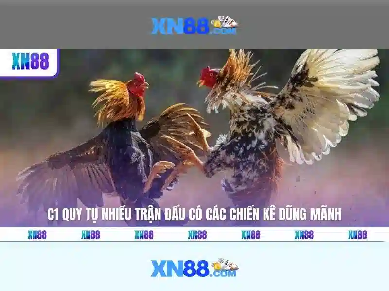 XN88: Giới thiệu và đánh giá nền tảng chơi trực tuyến