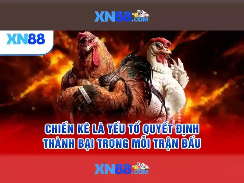 xn88: một tổng quan về nền tảng cá cược trực tuyến