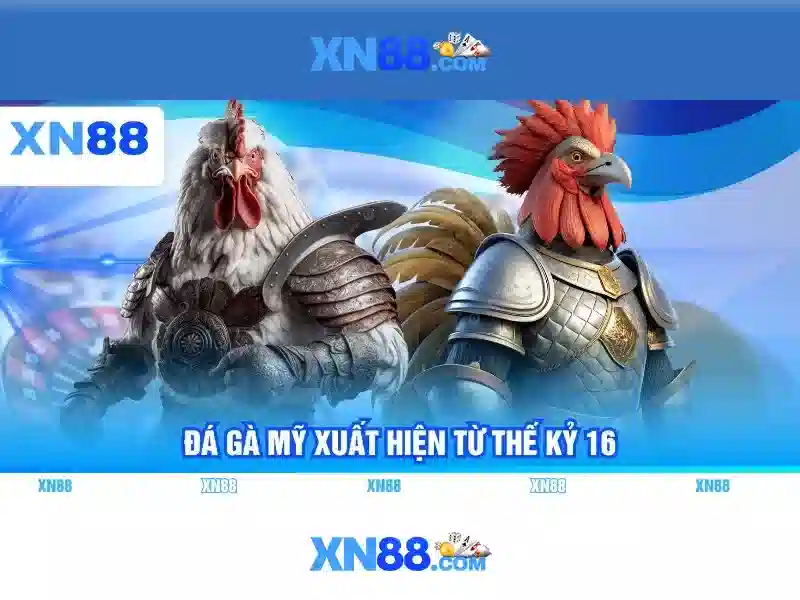 Khuyến mãi và chương trình thưởng
