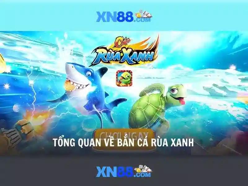An toàn và trách nhiệm khi tham gia