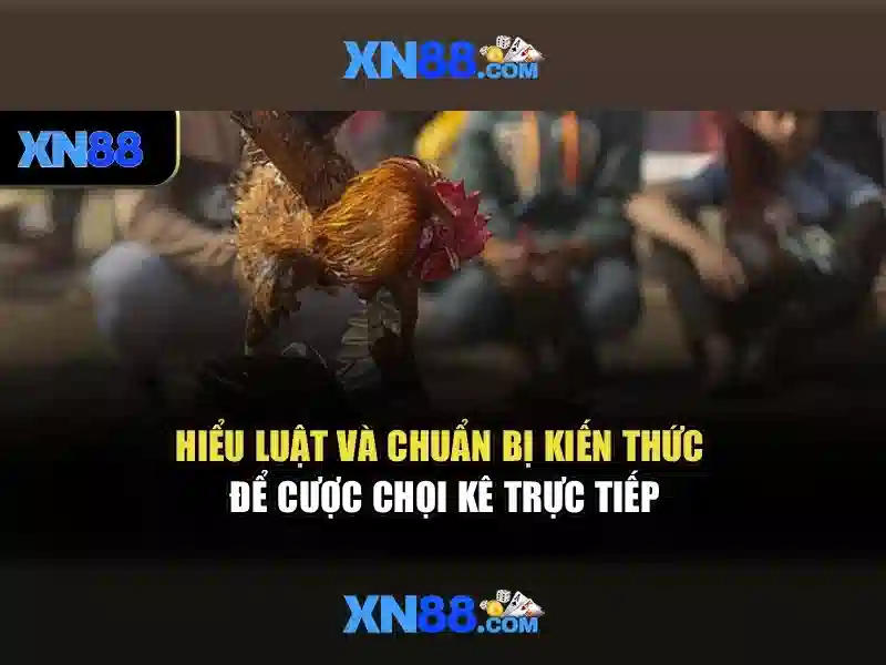 xn88 là gì? Đánh giá và hướng dẫn sử dụng