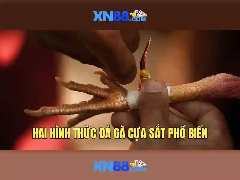 XN88: Tổng quan về nền tảng giải trí trực tuyến