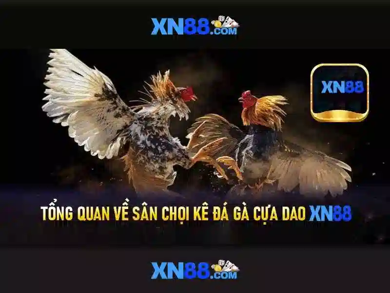 Các tính năng nổi bật của xn88