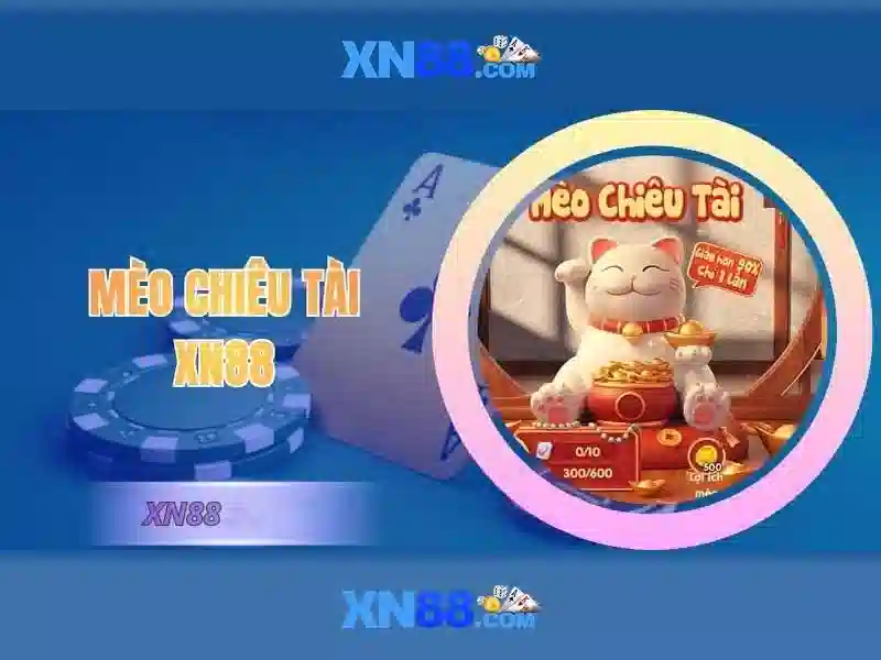 Giới thiệu về xn88