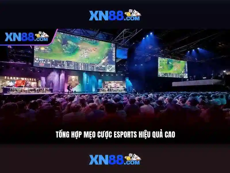 Giới thiệu về xn88 - Nền tảng cược trực tuyến uy tín