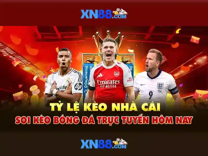 Tổng quan về xn88