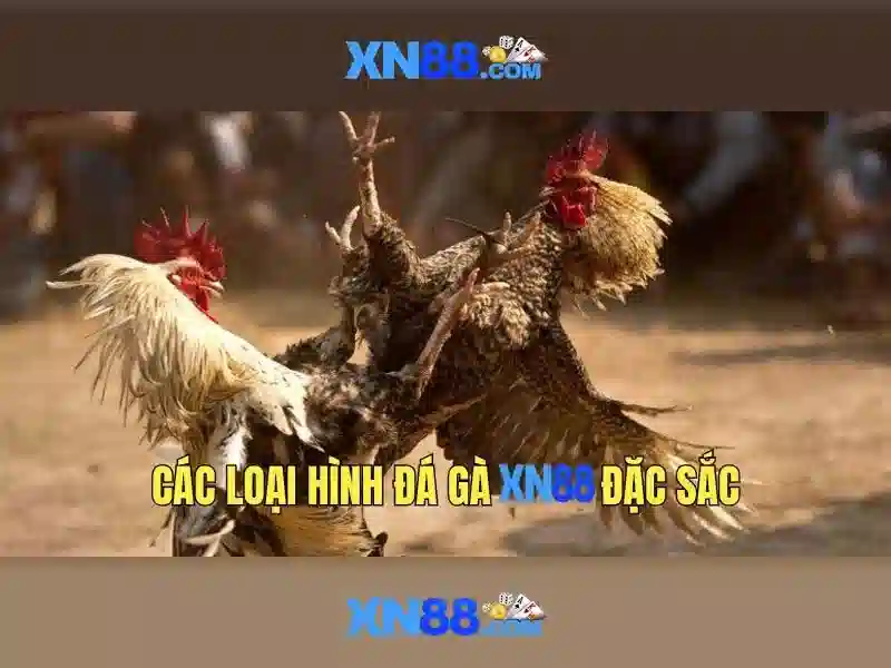 An toàn và bảo mật