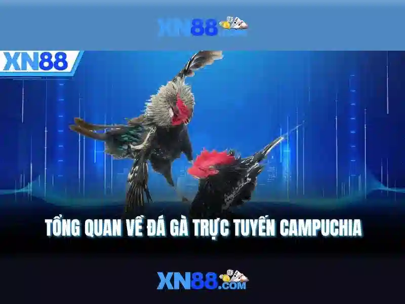 Trải nghiệm người dùng