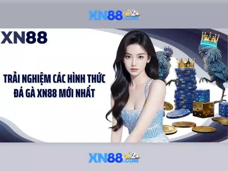 xn88: Tổng quan và thông tin cần biết