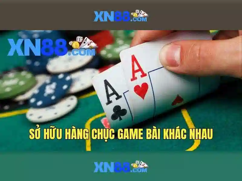 Trải nghiệm người dùng và cộng đồng