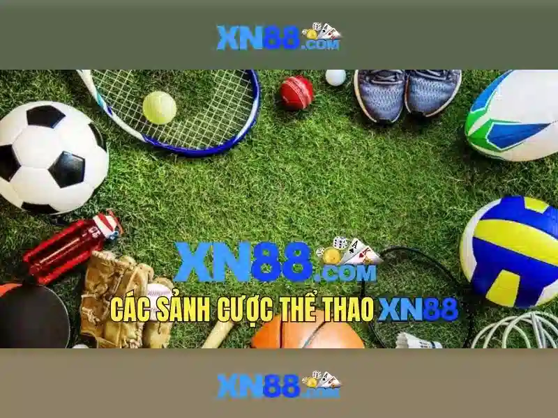 Giao diện và trải nghiệm người dùng