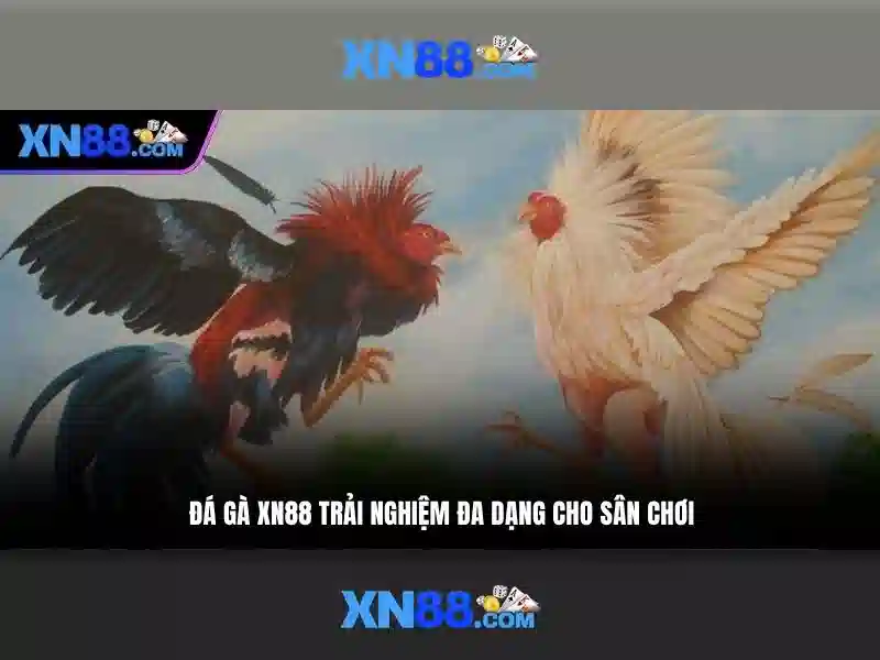 An toàn và bảo mật