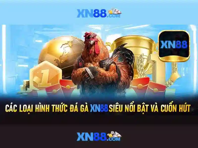 Chinh sach quyen rieng tu va bao mat thong tin tai nha cai xn88