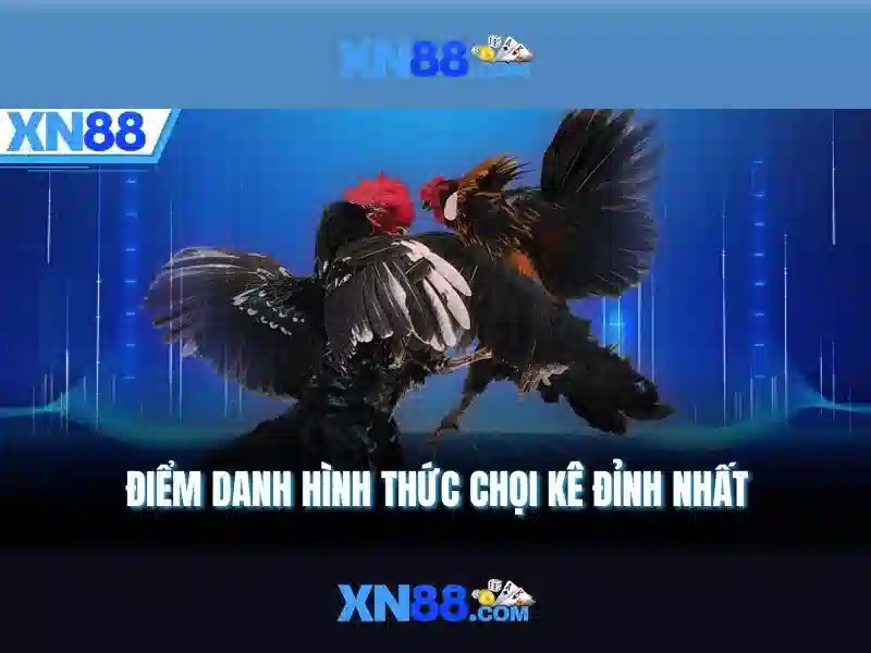 Trải nghiệm người dùng