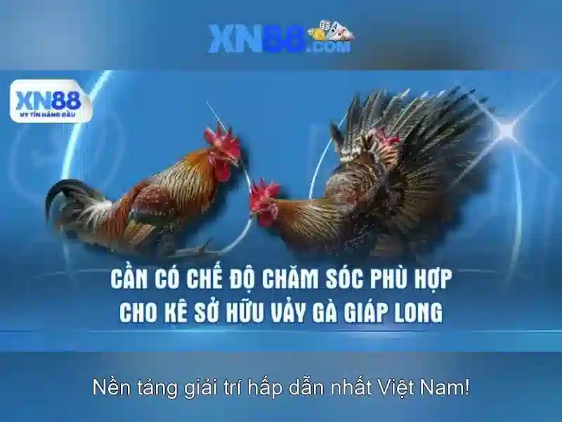 xn88: Nen san choi online va the thao truc tuyen
