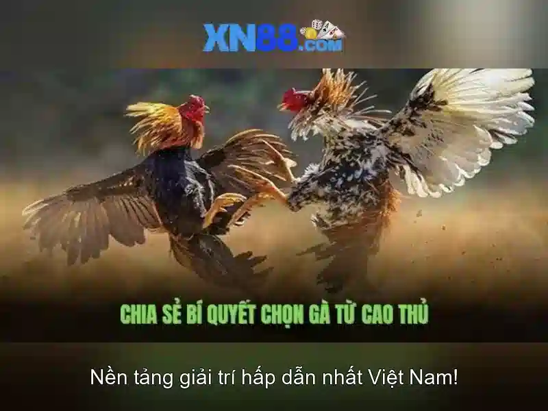 xn88: Đánh giá và hành trình của nền tảng giải trí trực tuyến