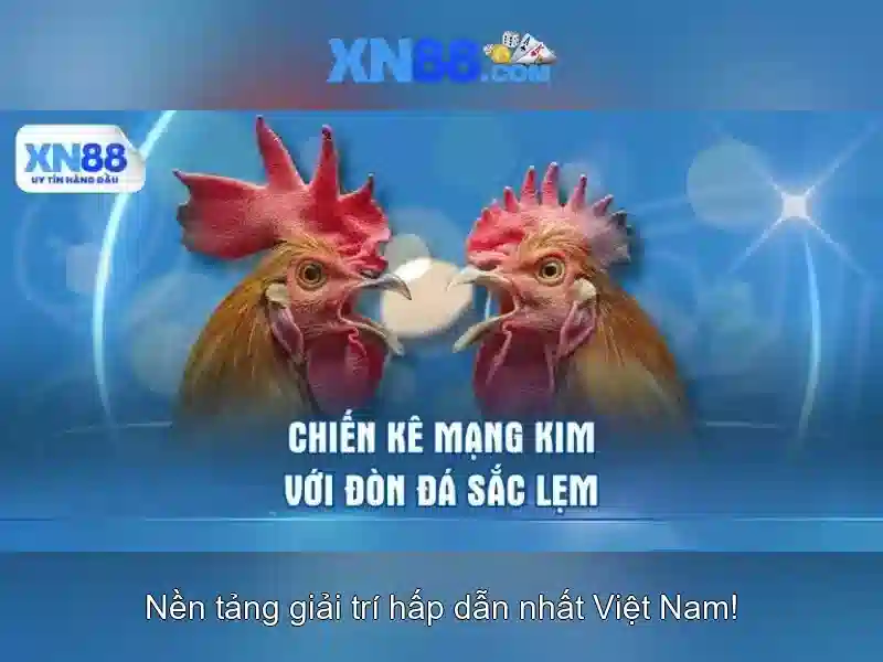 XN88 - Nền tảng giải trí và cược trực tuyến