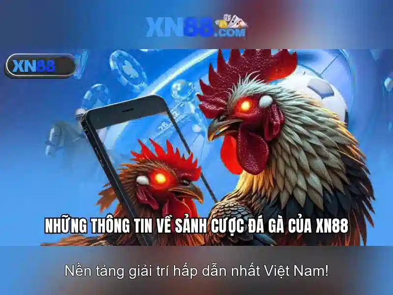 xn88: Nền tảng giải trí trực tuyến và những điều cần biết
