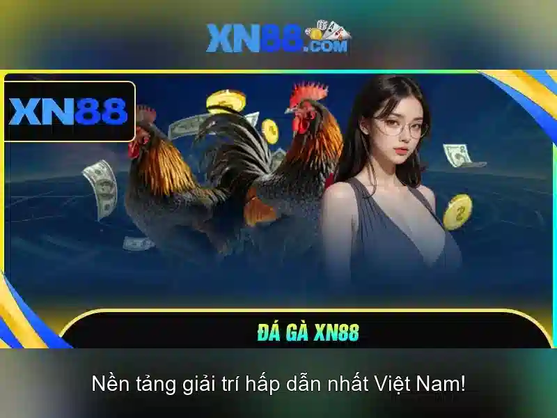 Các tính năng nổi bật của xn88