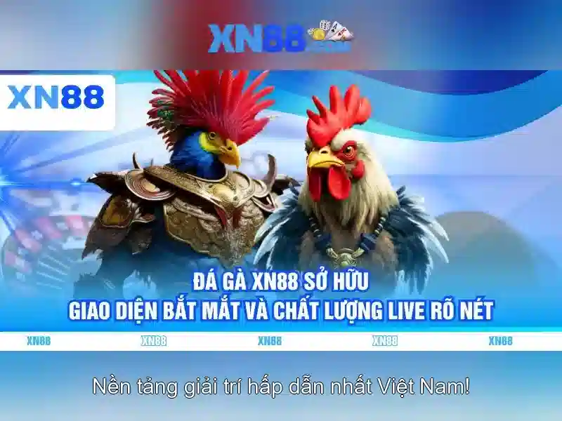 Kết luận về xn88