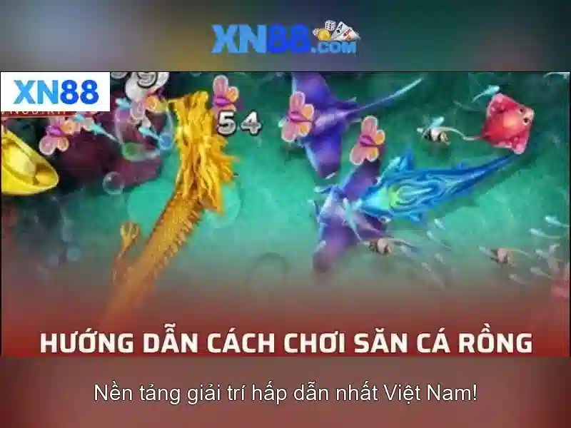 xn88 là gì và vì sao được nhắc đến