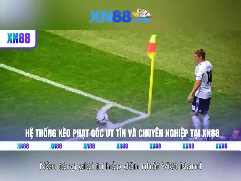 xn88: Giới thiệu và đánh giá