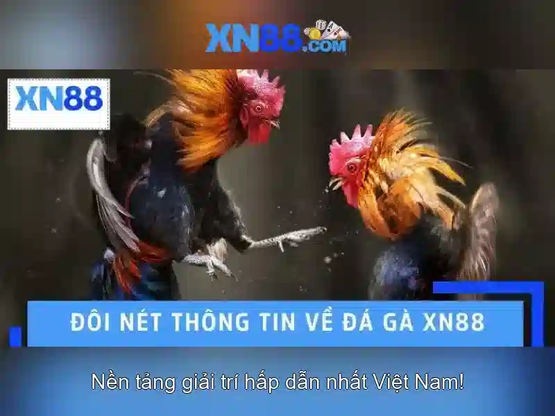 Nền tảng và công nghệ