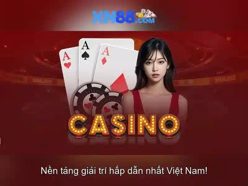 Khuyến nghị và lưu ý