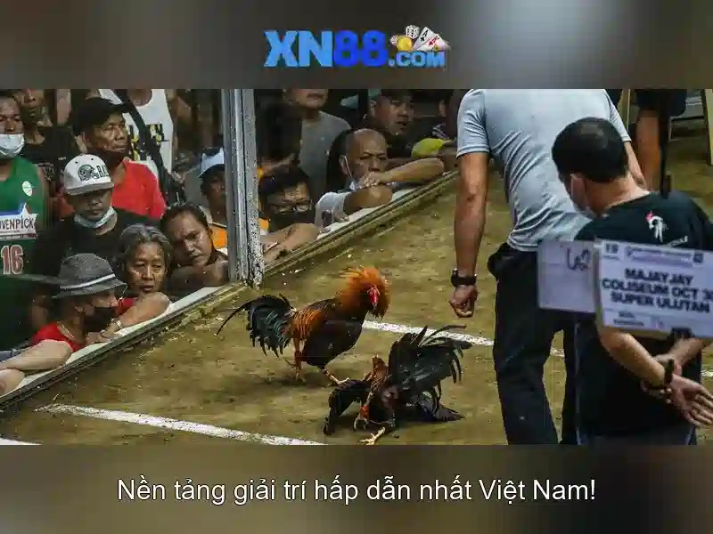 xn88 – Nền tảng trò chơi trực tuyến