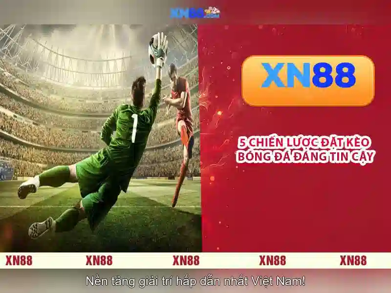 Giới thiệu về XN88
