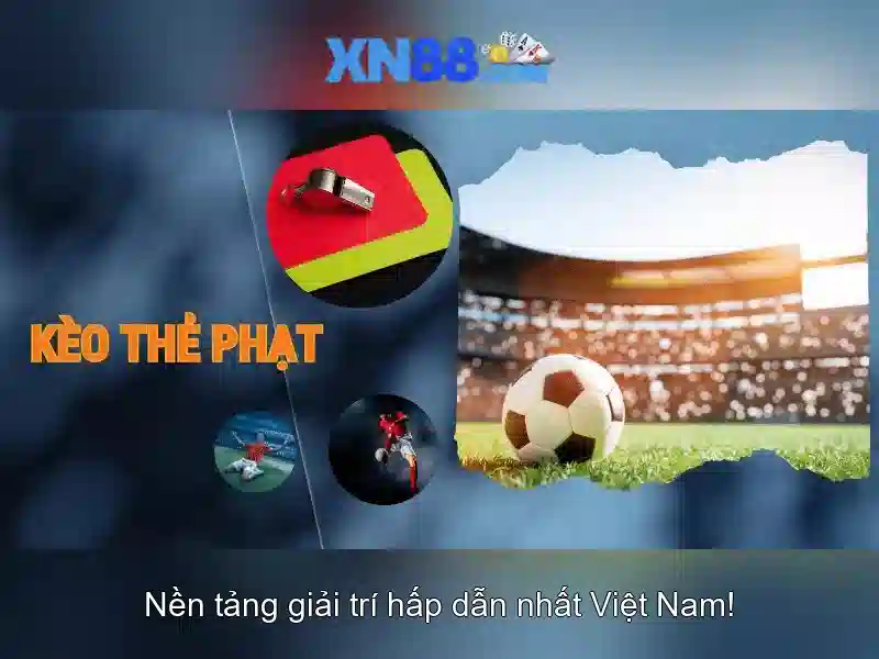 Dịch vụ chính và tính năng nổi bật