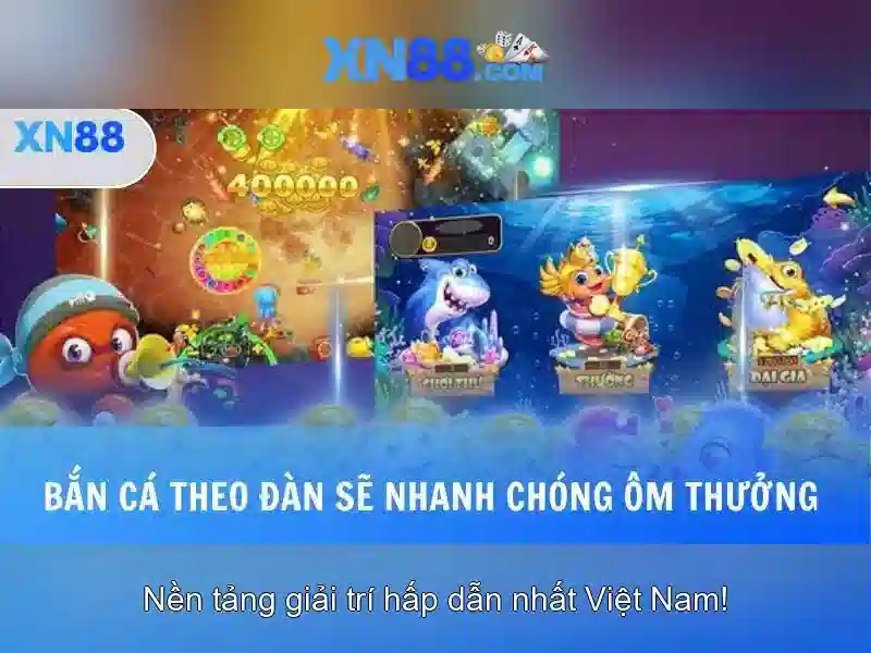 Tổng quan về xn88