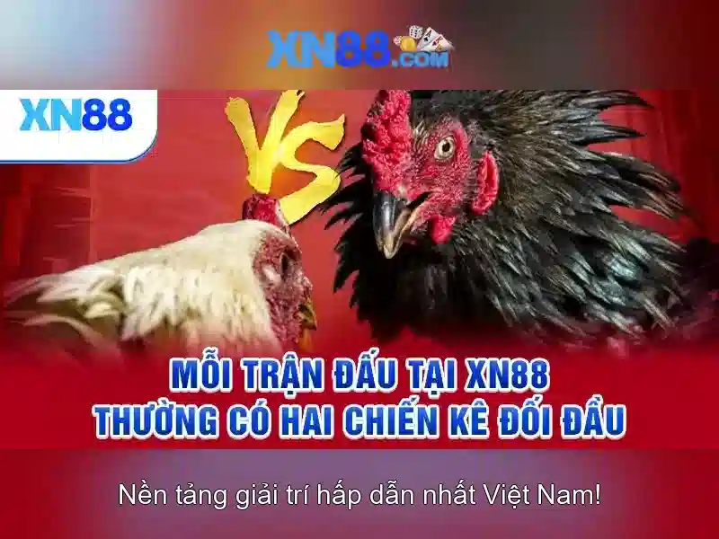 Biểu đồ bảo mật tài khoản