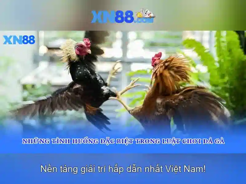 XN88: Nền tảng trò chơi trực tuyến và đánh giá