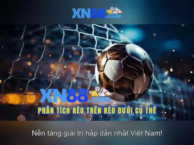 Hỗ trợ khách hàng và kết luận